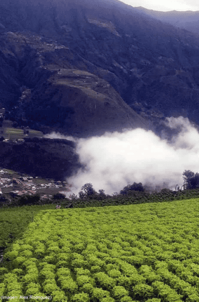 Cosechas en la cima del cielo